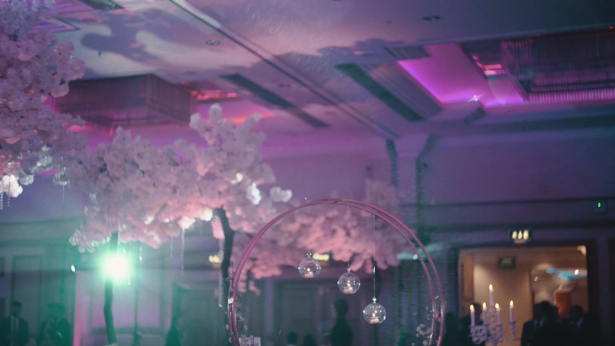 Anita&MalkitWeddingTrailer